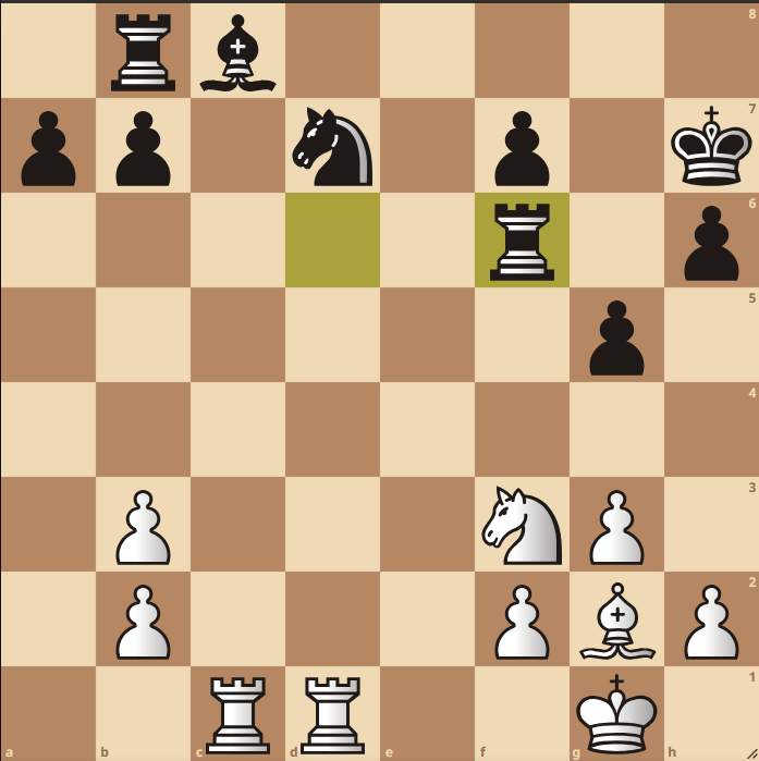 Schaakstelling, FEN 1rb5/pp1n1p1k/5r1p/6p1/8/1P3NP1/1P3PBP/2RR2K1 w - - 0 24